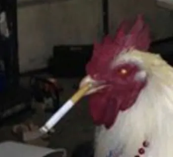 polloxd96
