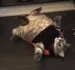 lilnuzz