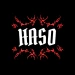 llhaso06