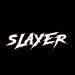 soyslaayeer