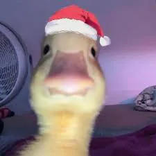 Andza69