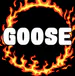 GooseFuego