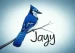 jayyBRD