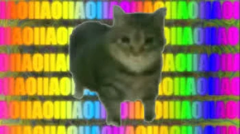 biggzboi