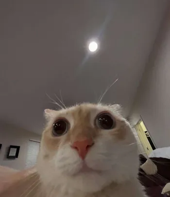 sel0n22