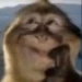 Crozium Profile Picture