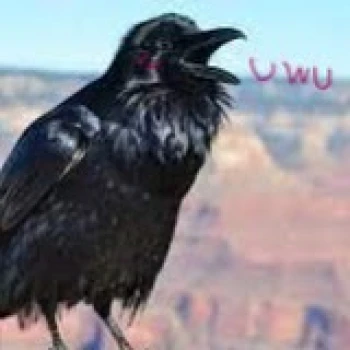 RaveNuwu1