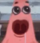 domuzzsken31