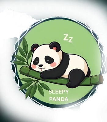 SleepyPanda7117