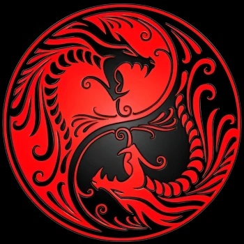 XDragoNaaK