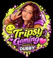 TripsyGaming