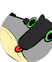 SonEjderTR