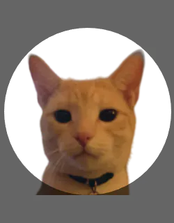 PauseInspector
