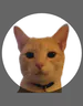 PauseInspector