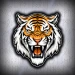xtigerch