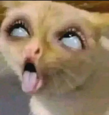 Mellqui_costa