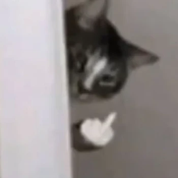 Streamer PFP