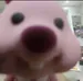 pumie