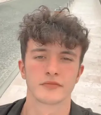 dolphinemre