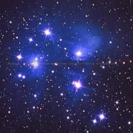 Midnightking19
