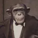 Addit1