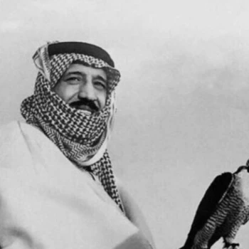 saqr31