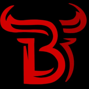 bullkycz