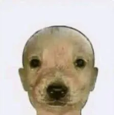 Sebiche100