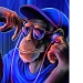 madchimpboy