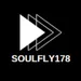 Soulfly178