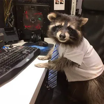 RRaquenn