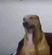 toprakinyo