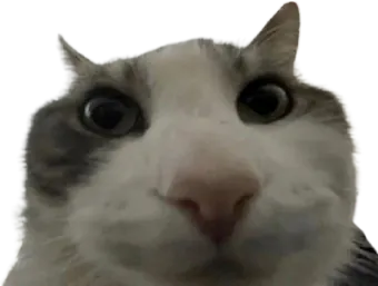 hmetenes