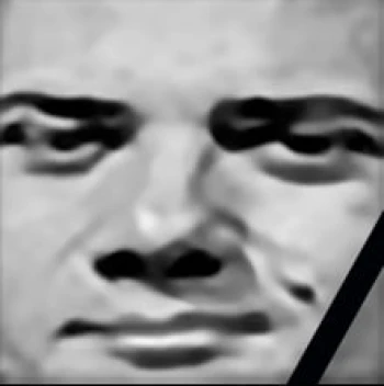 leniniw