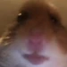 ZINKK0