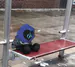 eypcan1313