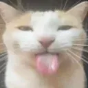 tizi_g