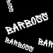 BarrrBoss17