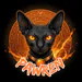 PAWREN
