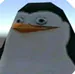 penquin82