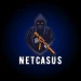 Netcasus