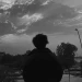 Hydracha031