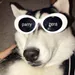 parryzera
