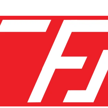 TFS_Pun