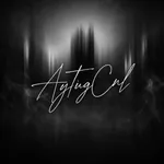AytugCNL profile picture