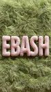 kleonebash