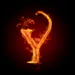 yusuf_63