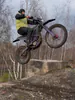 UltraBeeKick