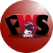 PlayWithSemih Profile Picture