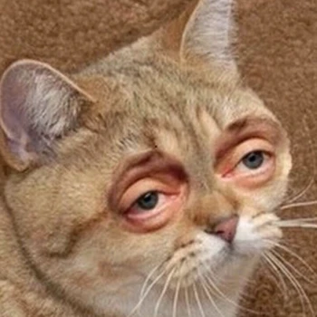 zanku66